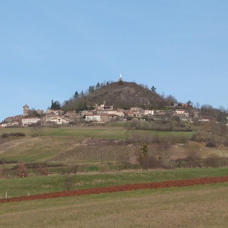 Saint-Rémy-de-Chargnat Chateau Des Aiguilles מראה חיצוני תמונה