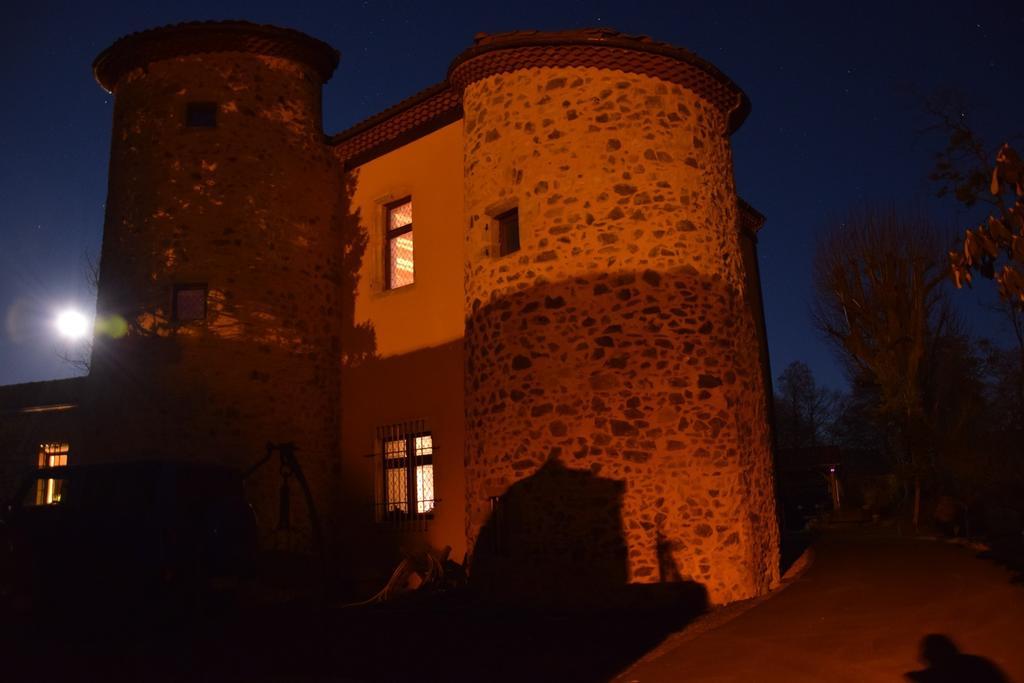 Saint-Rémy-de-Chargnat Chateau Des Aiguilles מראה חיצוני תמונה