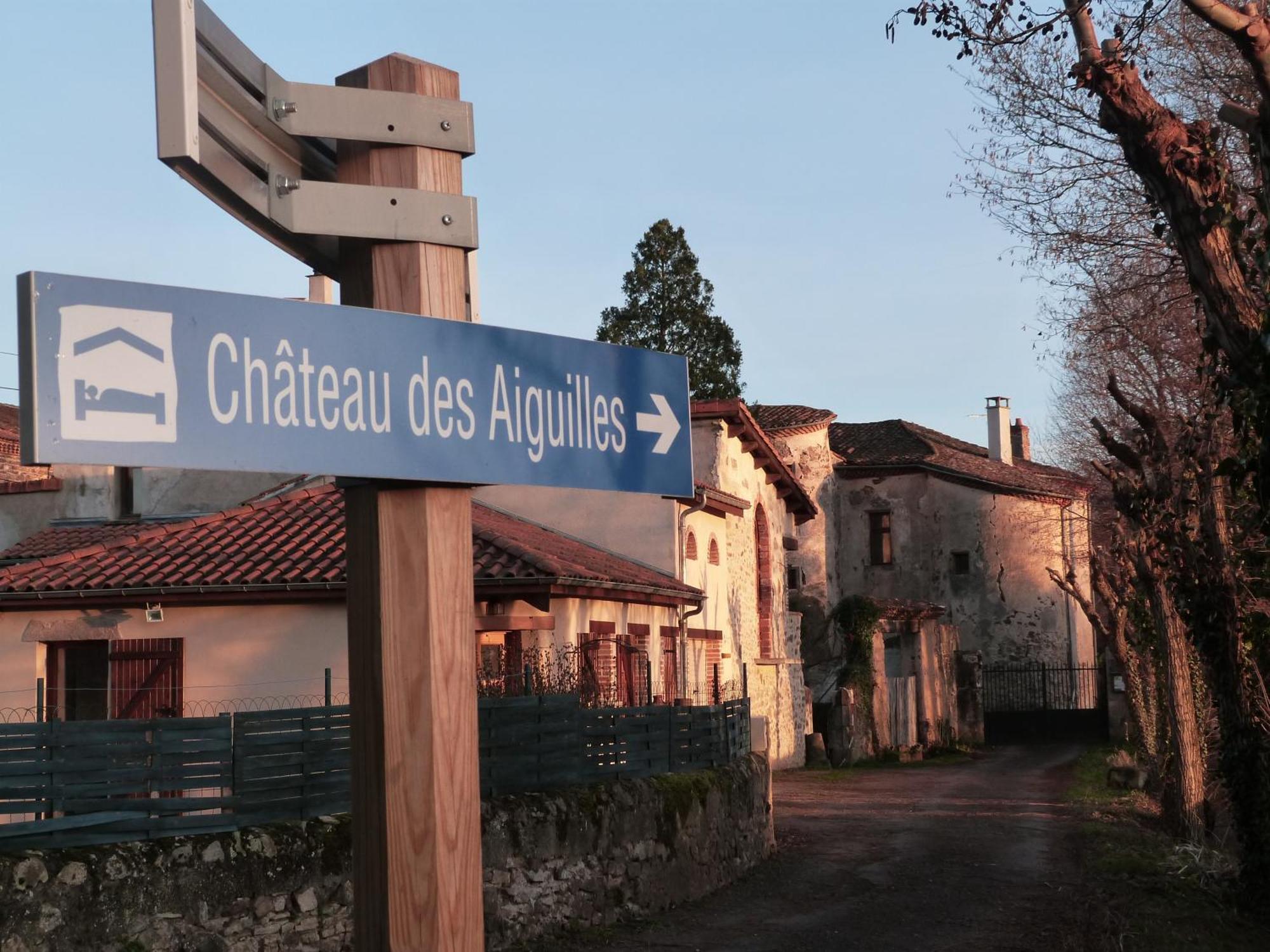 Saint-Rémy-de-Chargnat Chateau Des Aiguilles מראה חיצוני תמונה