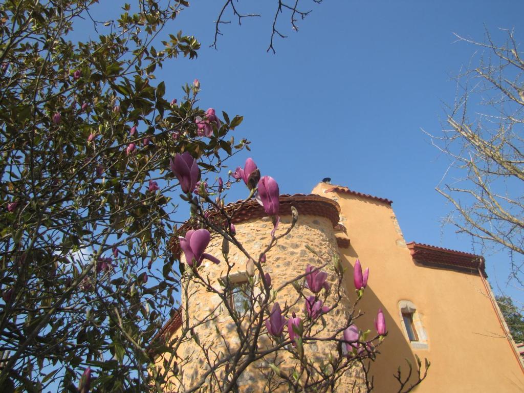Saint-Rémy-de-Chargnat Chateau Des Aiguilles מראה חיצוני תמונה